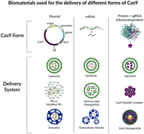 Graphical abstract: Biomaterials as vectors for the delivery of CRISPR–Cas9