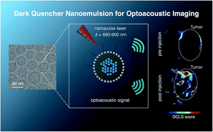 Graphical abstract: Sonophore-enhanced nanoemulsions for optoacoustic imaging of cancer