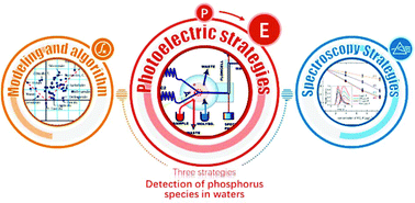 Graphical abstract: Detection of phosphorus species in water: technology and strategies