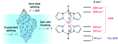 Graphical abstract: Detailed electronic structure of a high-spin cobalt(ii) complex determined from NMR and THz-EPR spectroscopy