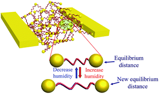 Graphical abstract: 3D hybrid networks of gold nanoparticles: mechanoresponsive electrical humidity sensors with on-demand performances