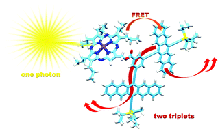 Graphical abstract: Light-harvesting porphyrazines to enable intramolecular singlet fission