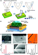 Graphical abstract: Sensitive field-effect transistor sensors with atomically thin black phosphorus nanosheets
