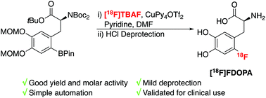 Graphical abstract: One-pot synthesis of high molar activity 6-[18F]fluoro-l-DOPA by Cu-mediated fluorination of a BPin precursor