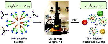 Graphical abstract: Radical free crosslinking of direct-write 3D printed hydrogels through a base catalyzed thiol-Michael reaction