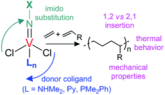 Graphical abstract: Copolymerization of ethylene with propylene and higher α-olefins catalyzed by (imido)vanadium(iv) dichloride complexes