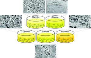 Graphical abstract: Bioengineering tunable porosity in bacterial nanocellulose matrices