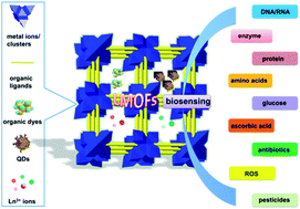 Graphical abstract: Photoluminescent metal–organic frameworks and their application for sensing biomolecules