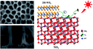 Graphical abstract: Promoting nitrogen photofixation over a periodic WS2@TiO2 nanoporous film