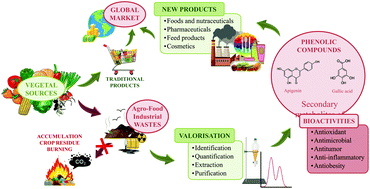 Graphical abstract: Agriculture waste valorisation as a source of antioxidant phenolic compounds within a circular and sustainable bioeconomy