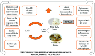 Graphical abstract: Potential beneficial effects of kefir and its postbiotic, kefiran, on child food allergy