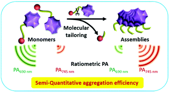 Graphical abstract: A ratiometric photoacoustic imaging approach for semi-quantitative determination of aggregation efficiency in vivo