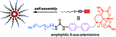 Graphical abstract: A fully synthetic 6-aza-artemisinin bearing an amphiphilic chain generates aggregates and exhibits anti-cancer activities