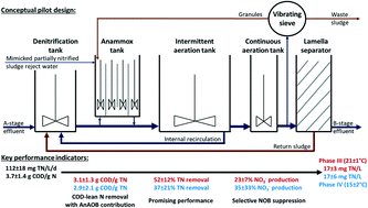 Graphical abstract: Piloting carbon-lean nitrogen removal for energy-autonomous sewage treatment