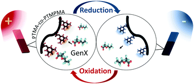 Graphical abstract: Emerging investigator series: electrochemically-mediated remediation of GenX using redox-copolymers
