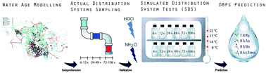 Graphical abstract: Simultaneous prediction of trihalomethanes, haloacetic acids, haloacetonitriles and haloacetamides using simulated distribution system tests