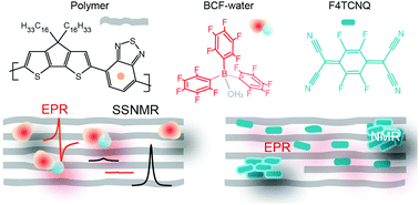 Graphical abstract: Structural insights into Lewis acid- and F4TCNQ-doped conjugated polymers by solid-state magnetic resonance spectroscopy