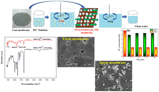 Graphical abstract: Preparation of an rGO and iron oxide nanoparticle-incorporated polyvinyl acetate based membrane for the removal of Pb2+ from anticorrosive paint industrial wastewater