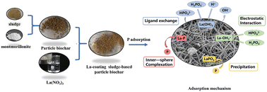 Graphical abstract: Sludge-based biochar with lanthanum modification for phosphate recovery from wastewater streams