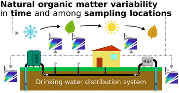 Graphical abstract: Source to tap investigation of natural organic matter in non-disinfected drinking water distribution systems