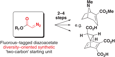 Graphical abstract: Skeletal diversity construction via a branching synthetic strategy