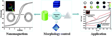 Graphical abstract: Fe3O4 nanostructures: synthesis, growth mechanism, properties and applications