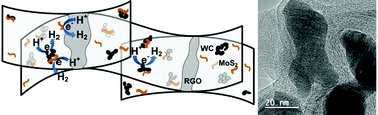 Graphical abstract: Nano-tungsten carbide decorated graphene as co-catalysts for enhanced hydrogen evolution on molybdenum disulfide