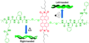 Graphical abstract: Conformation-variable PDI@β-sheet nanohelices show stimulus-responsive supramolecular chirality