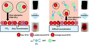 Graphical abstract: Bi-functional ion exchangers for enhanced performance of dye-sensitized solar cells