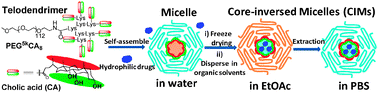 Graphical abstract: The core-inversible micelles for hydrophilic drug delivery