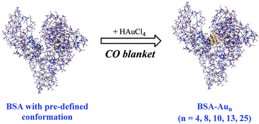 Graphical abstract: Tailoring the protein conformation to synthesize different-sized gold nanoclusters