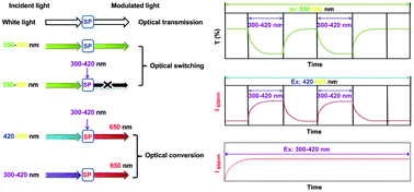 Graphical abstract: Spiropyran-based biodegradable polymer all-optical transistors integrate the switching and modulation of visible light frequency