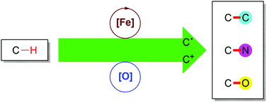 Graphical abstract: Iron-catalyzed/mediated oxidative transformation of C–H bonds