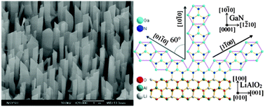 Graphical abstract: The synthesis route and the growth mechanism of aligned GaN nanobelts