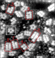 Graphical abstract: Hydrogen-bonded clusters of ferrocenecarboxylic acid on Au(111)