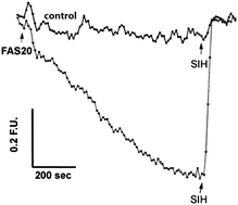 Graphical abstract: Iron-sensitive fluorescent probes: monitoring intracellular iron pools