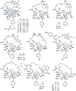 Graphical abstract: Recent studies on the chemical constituents of Trigonostemon plants