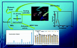 Graphical abstract: Anticancer metallodrugs of glutamic acid sulphonamides: in silico, DNA binding, hemolysis and anticancer studies