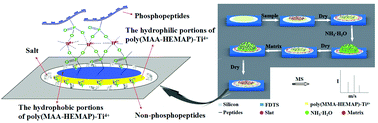 Graphical abstract: A Ti4+-immobilized phosphate polymer-patterned silicon substrate for on-plate selective enrichment and self-desalting of phosphopeptides