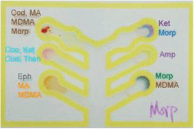 Graphical abstract: The development of paper microfluidic devices for presumptive drug detection