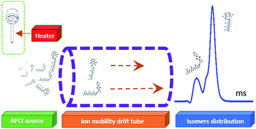 Graphical abstract: Structural characterization and thermally induced isomerization investigation of cis- and trans-vitamin K1 using ion mobility mass spectrometry