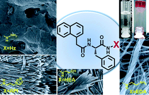 Graphical abstract: Rods, helices and spherulites: diverse self-assembled architectures from l-phenylalanine derivatives