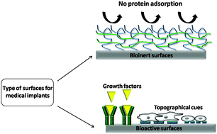 Graphical abstract: Tailoring biomaterial surface properties to modulate host-implant interactions: implication in cardiovascular and bone therapy