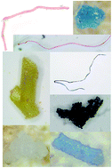 Graphical abstract: Extraction and identification of microplastic particles from secondary wastewater treatment plant (WWTP) effluent