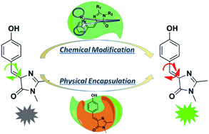 Graphical abstract: Emission enhancement and application of synthetic green fluorescent protein chromophore analogs