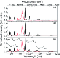 Graphical abstract: Efficient Nd3+ sensitized Yb3+ emission and infrared-to-visible energy conversion in gallium nano-garnets