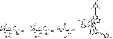 Graphical abstract: Selective signalling of sialic acid in solution by circularly polarised luminescence spectroscopy using a dynamically racemic europium(iii) complex