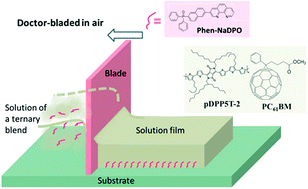 Graphical abstract: Roll to roll compatible fabrication of inverted organic solar cells with a self-organized charge selective cathode interfacial layer