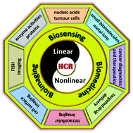 Graphical abstract: Hybridization chain reaction: a versatile molecular tool for biosensing, bioimaging, and biomedicine