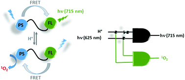 Graphical abstract: Molecular logic gates: the past, present and future